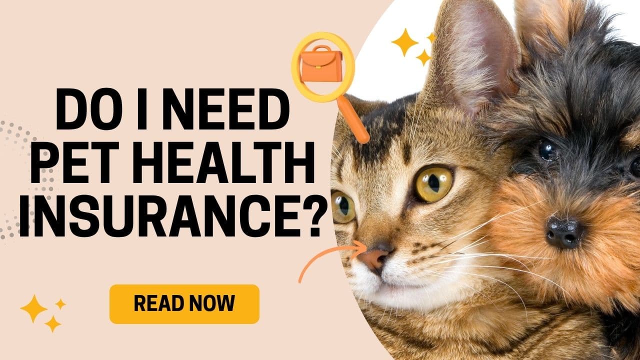 Do I Need Pet Health Insurance?
