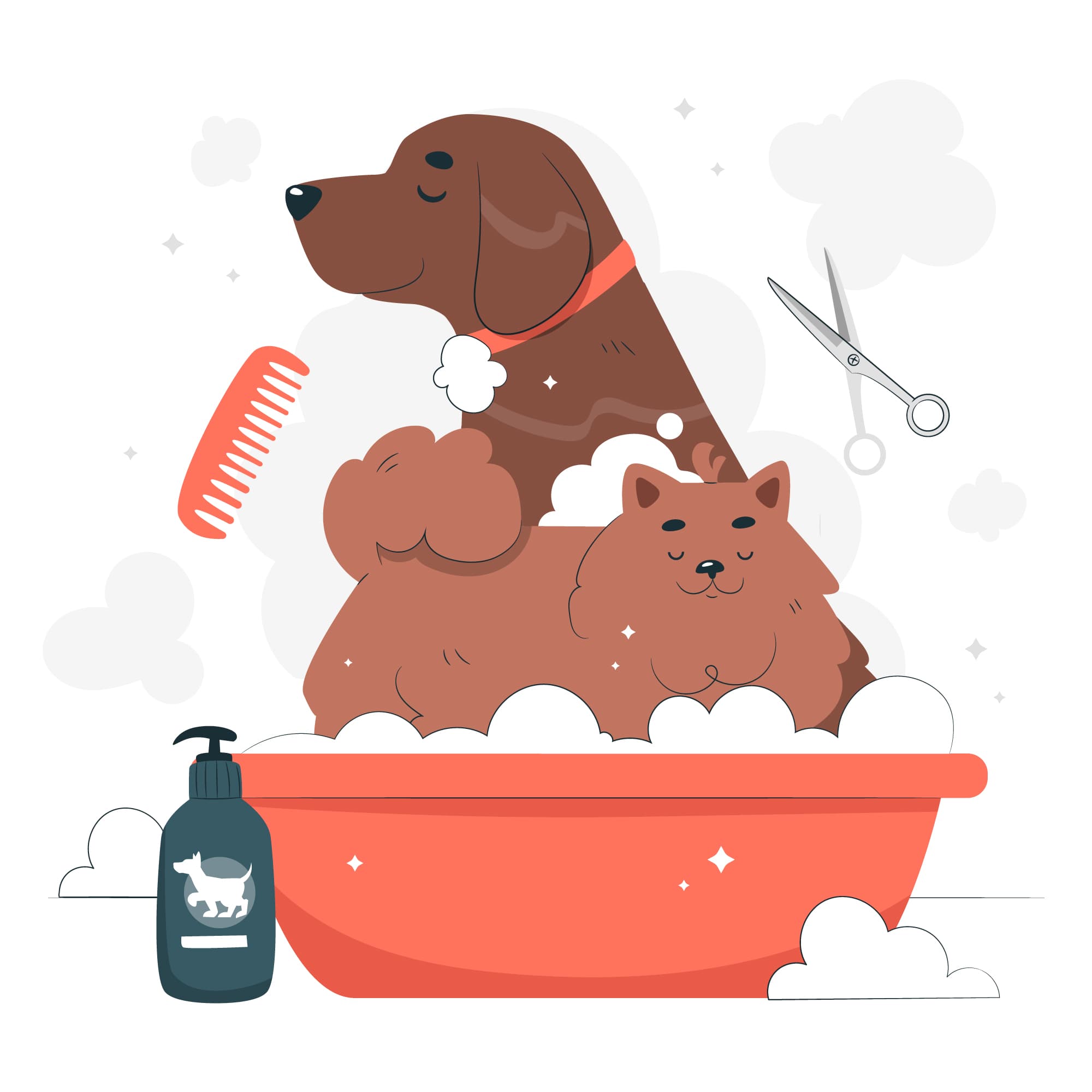Effortless Pet Care: Book Grooming & Walks with VetMedd!
